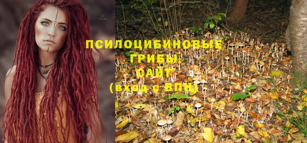 кокс Богданович